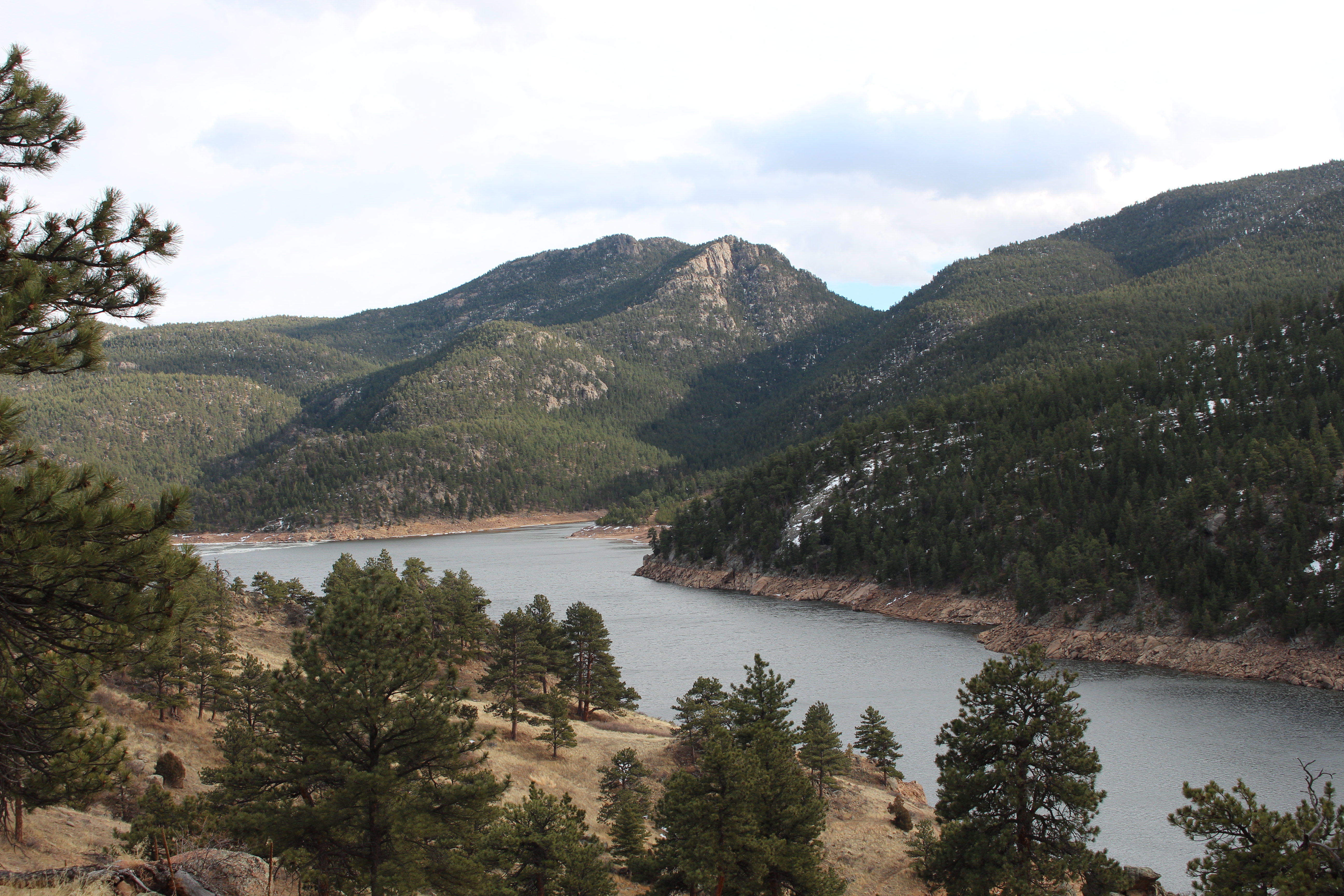 Macro and Micro Picture of the Day 2022-02-06