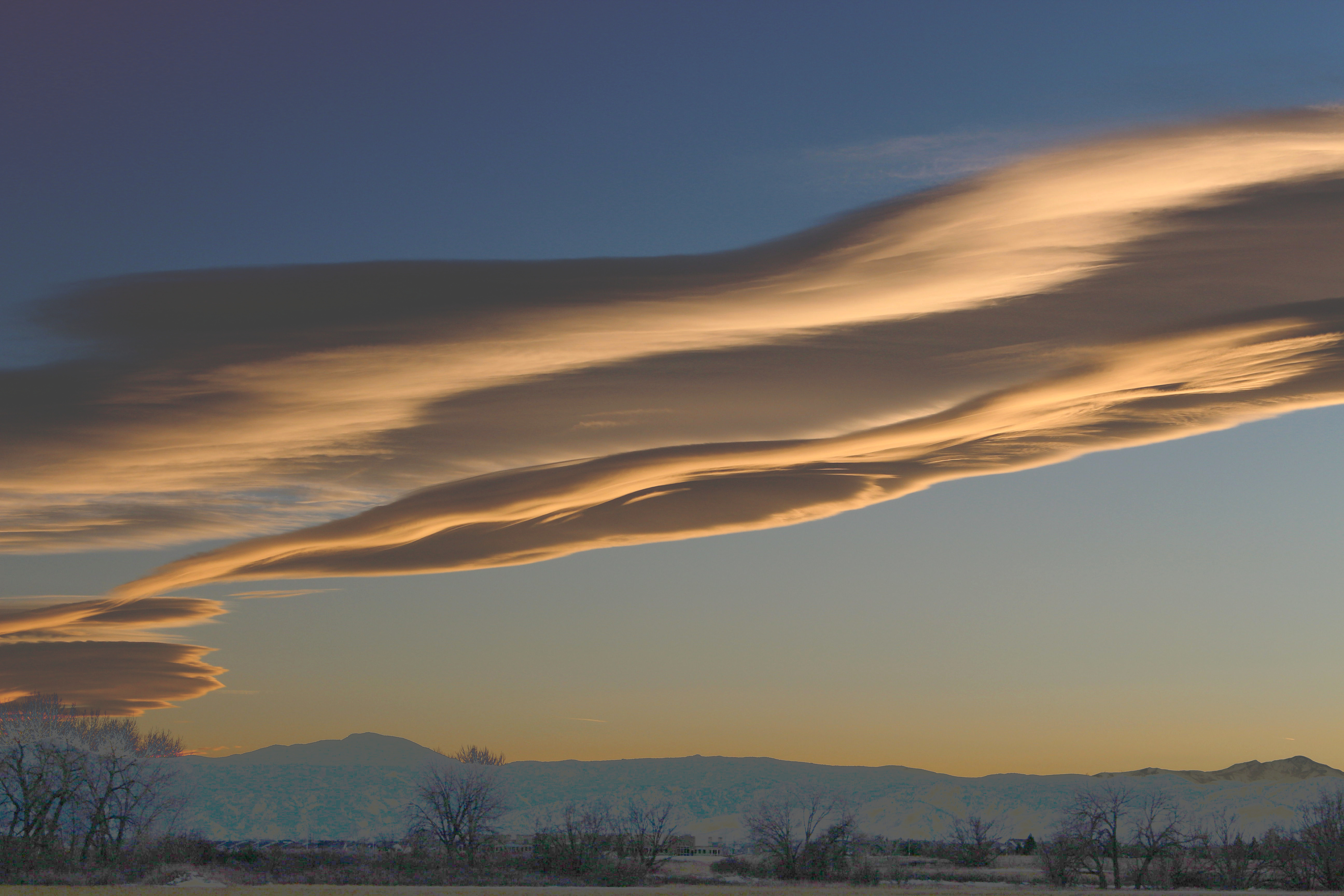 Macro and Micro Picture of the Day 2022-03-06