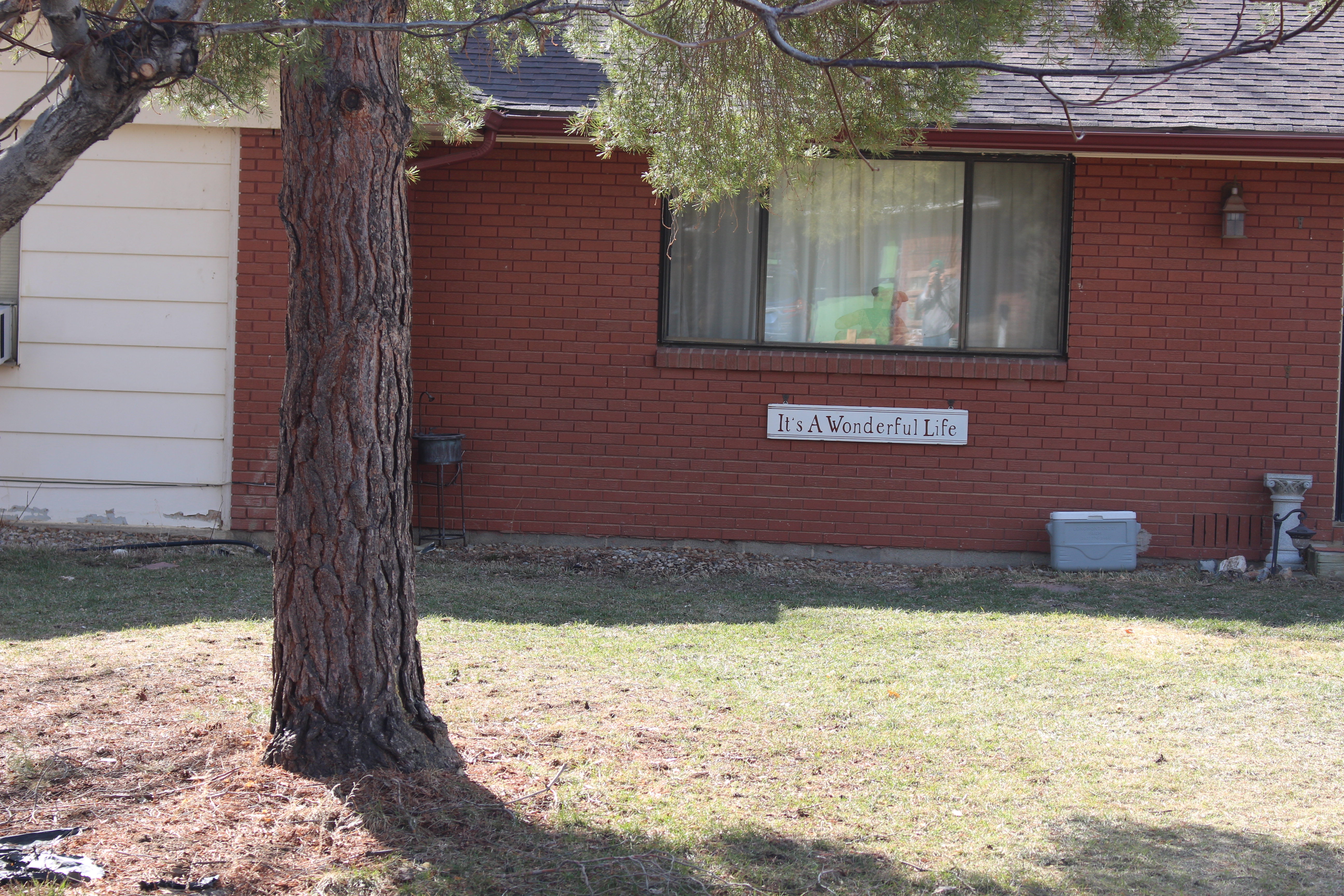 Macro and Micro Picture of the Day 2022-03-13