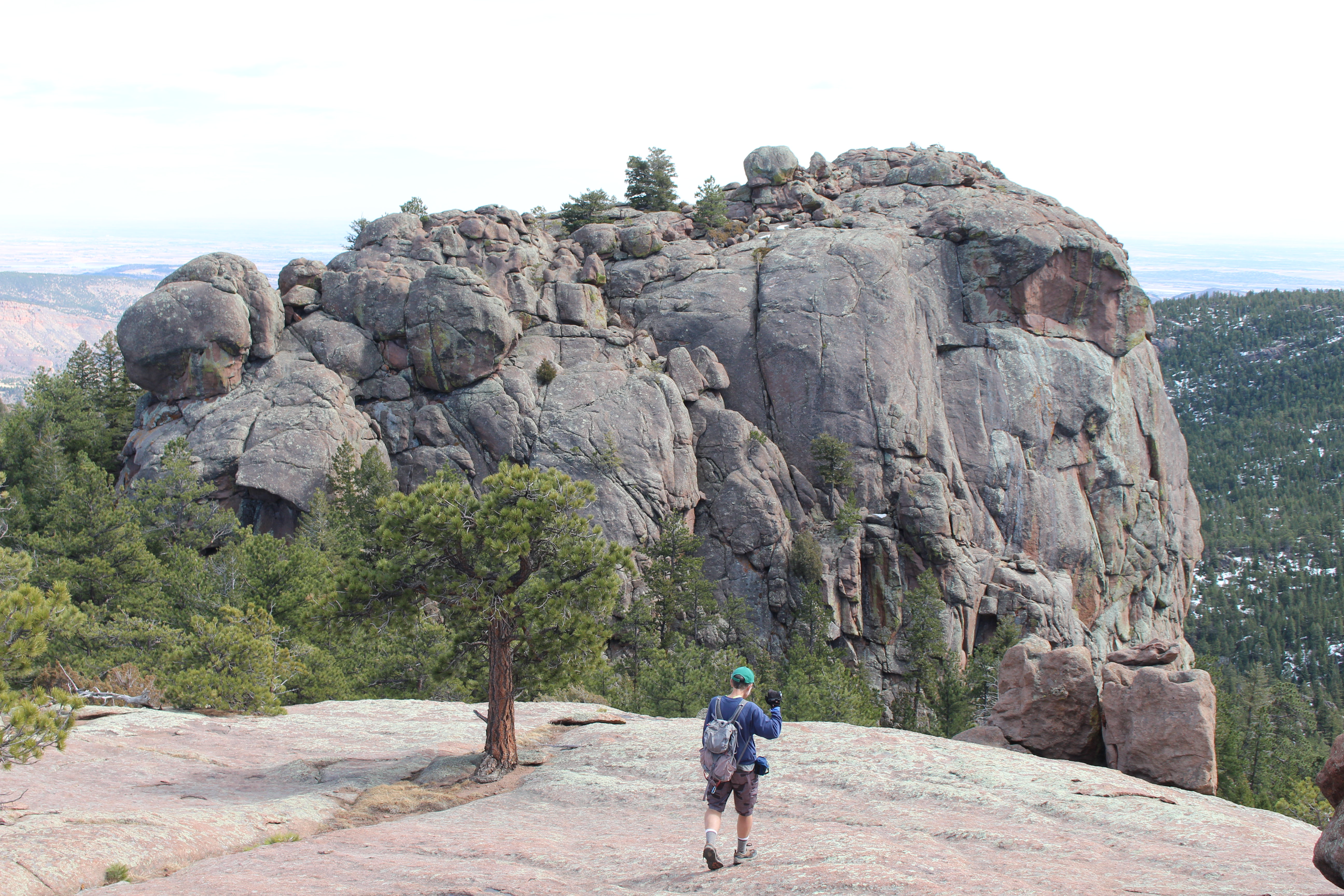 Macro and Micro Picture of the Day 2022-04-10