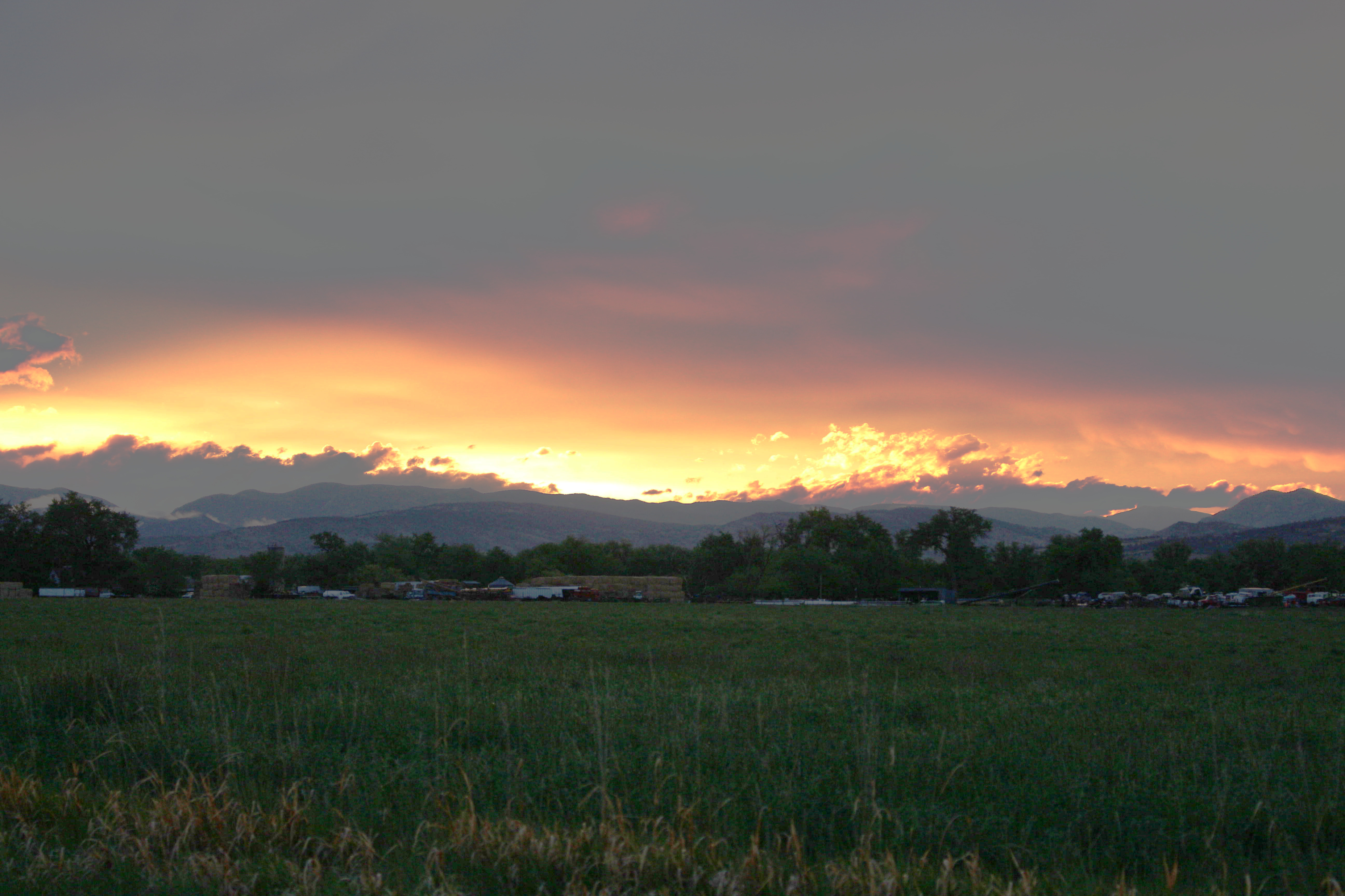 Macro and Micro Picture of the Day 2022-05-29