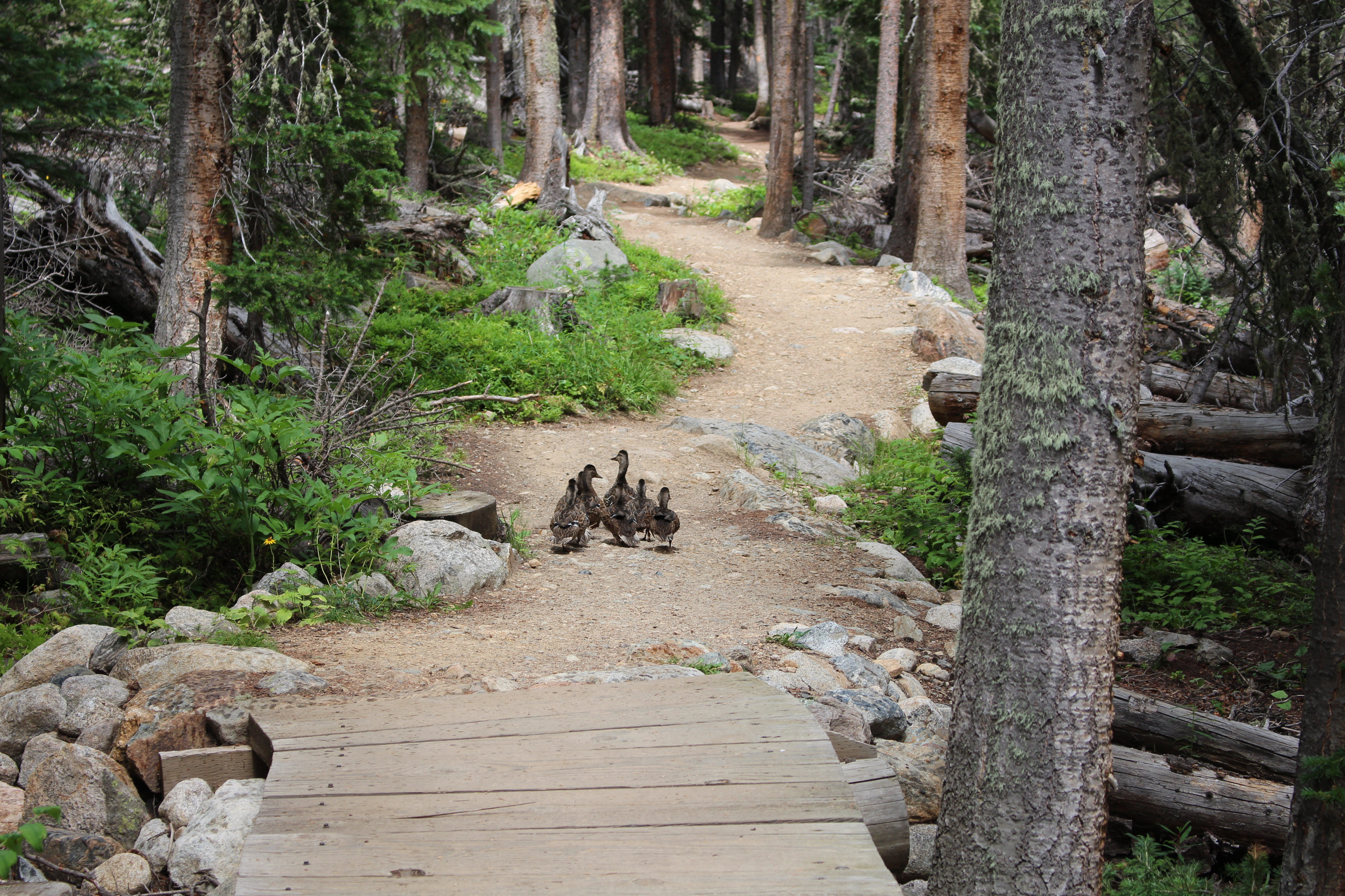 Macro and Micro Picture of the Day 2022-08-21