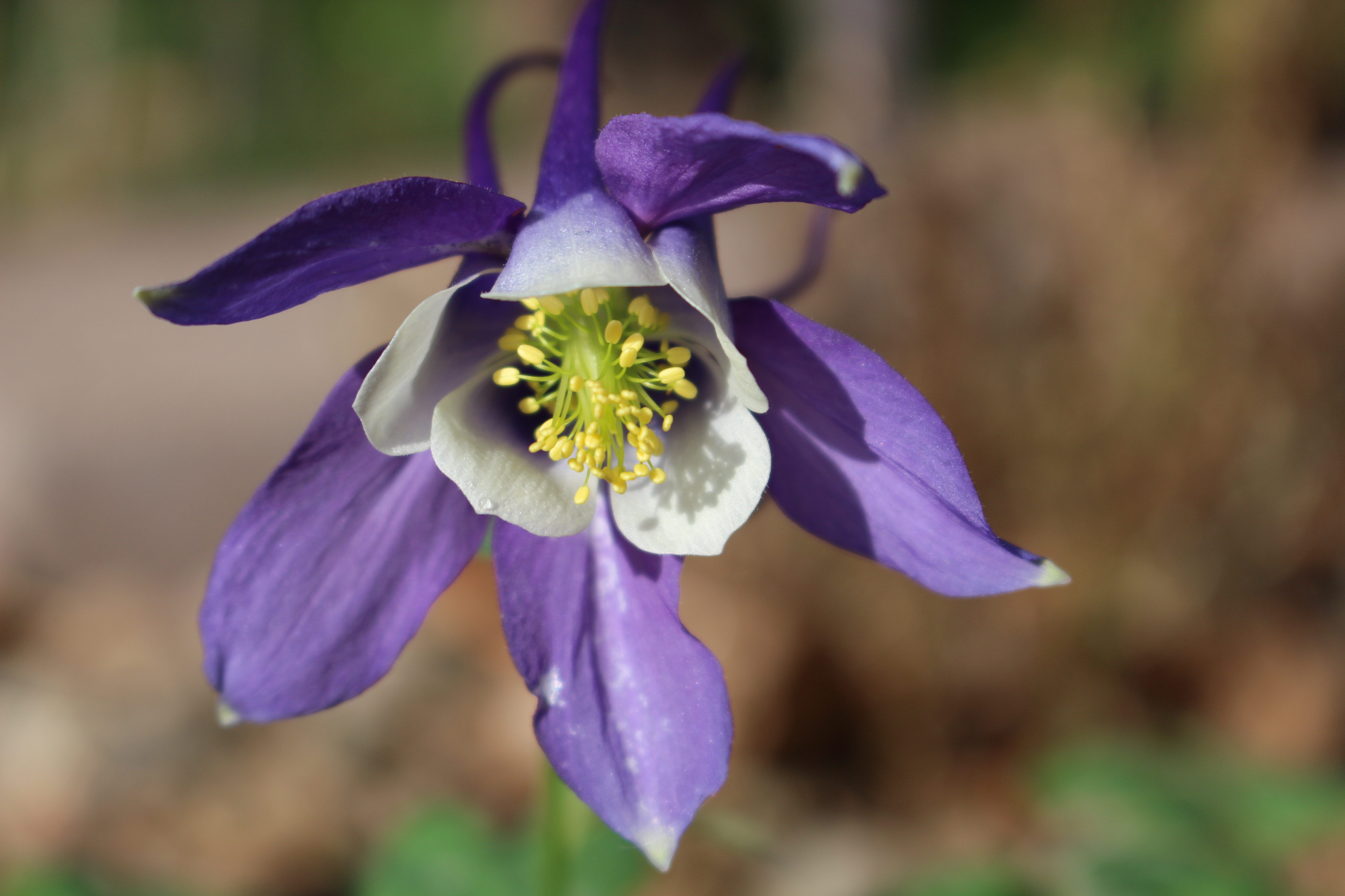 Macro and Micro Picture of the Day 2022-09-25