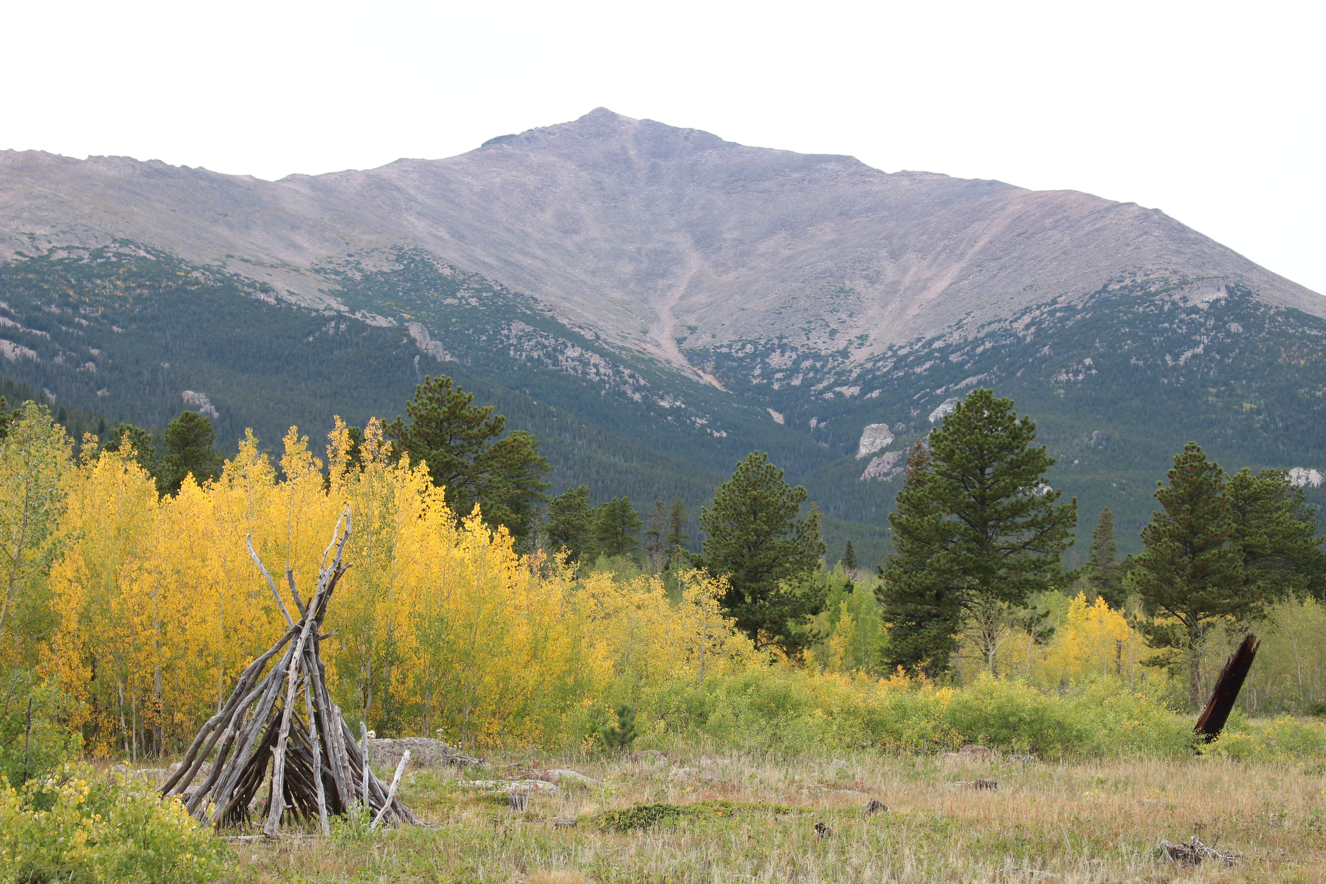 Macro and Micro Picture of the Day 2022-10-02