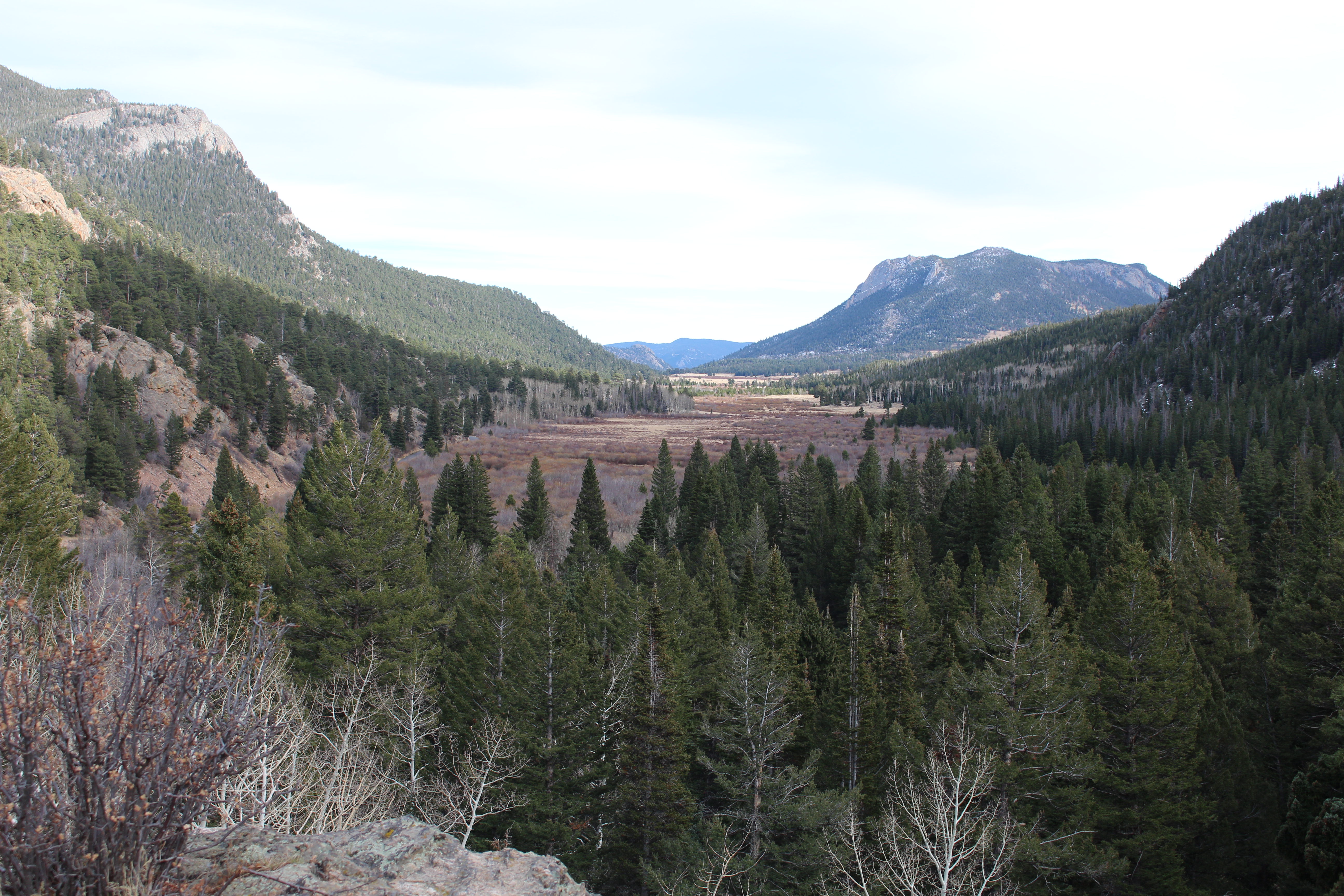 Macro and Micro Picture of the Day 2022-11-06