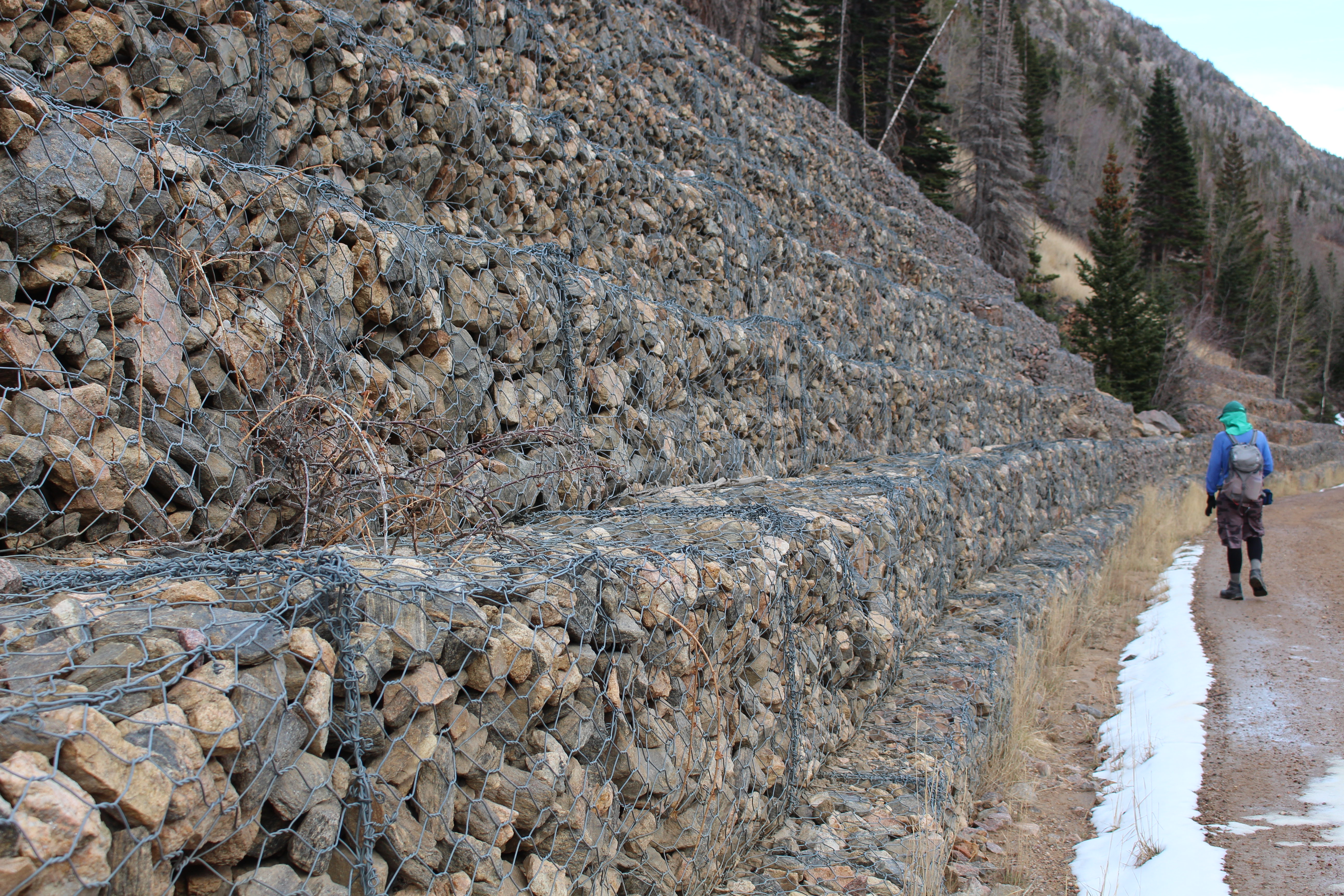 Macro and Micro Picture of the Day 2022-11-16