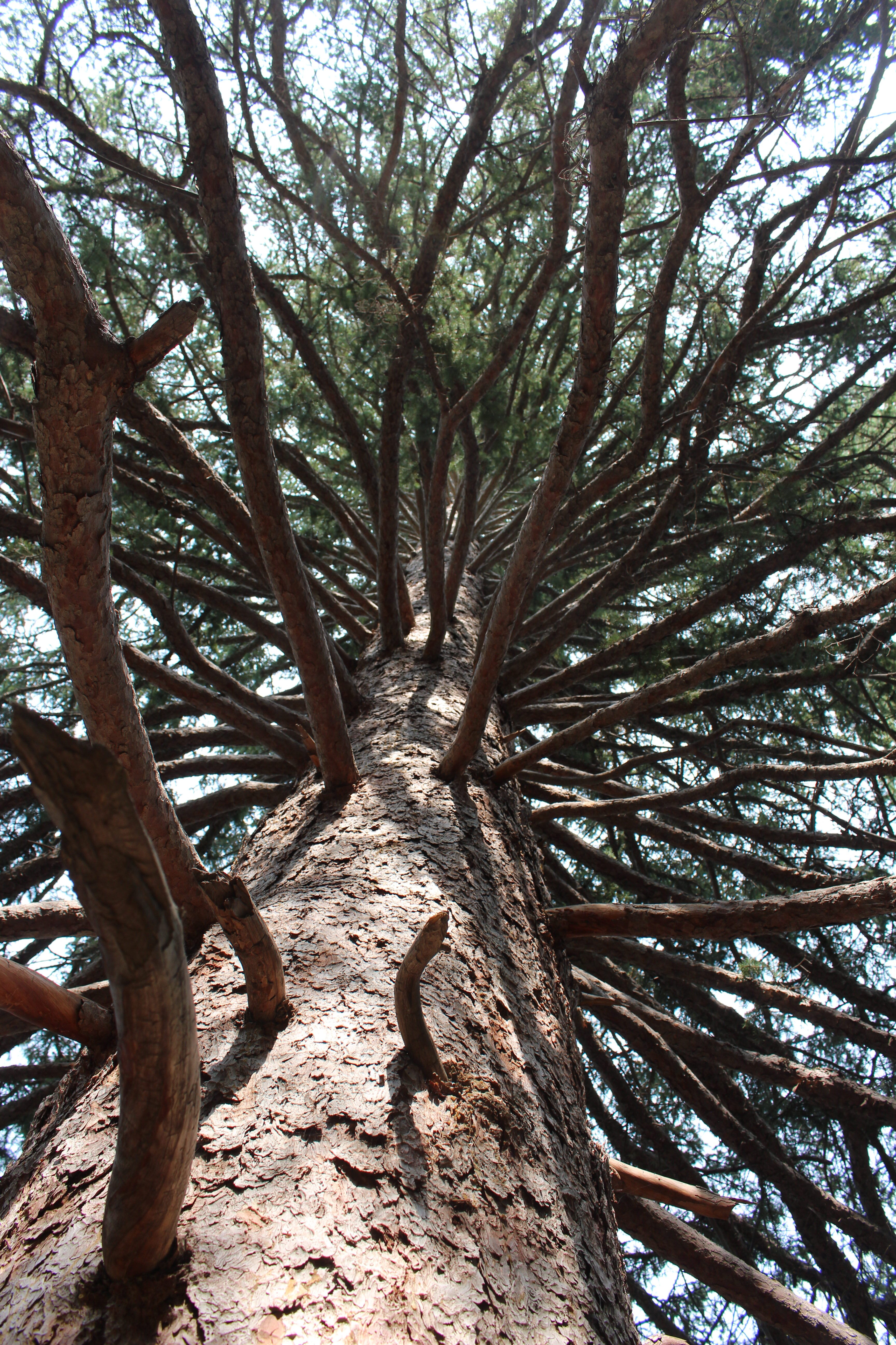 Macro and Micro Picture of the Day 2023-05-24