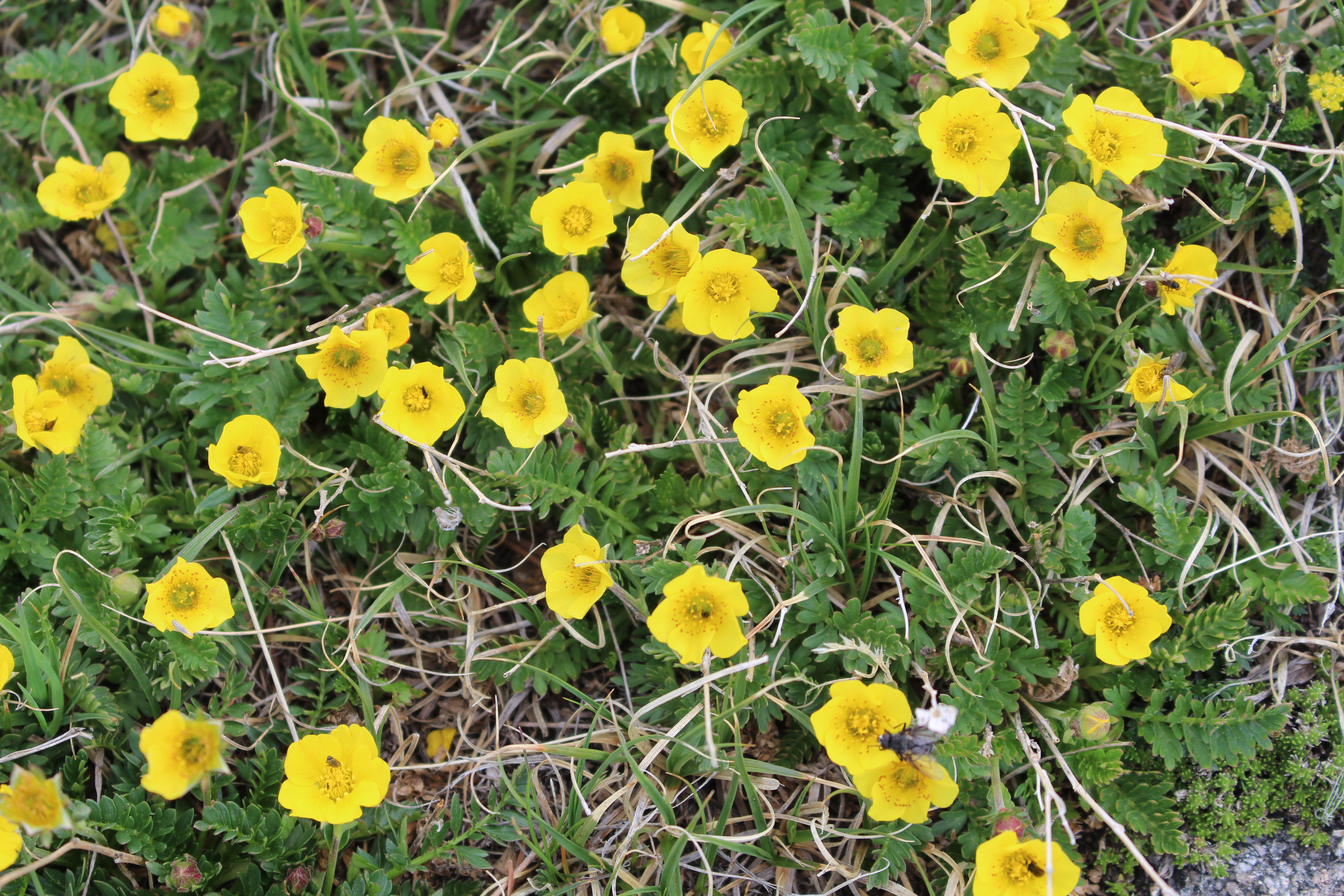 Macro and Micro Picture of the Day 2023-06-24